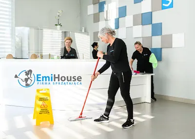 Firma sprzątająca Pabianice EmiHouse